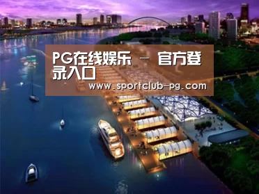 案例展示八