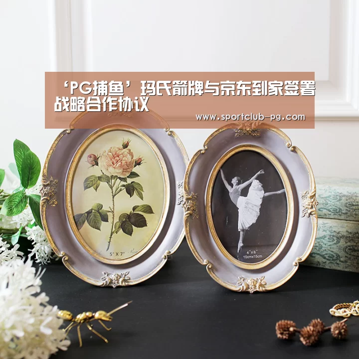 PG登录