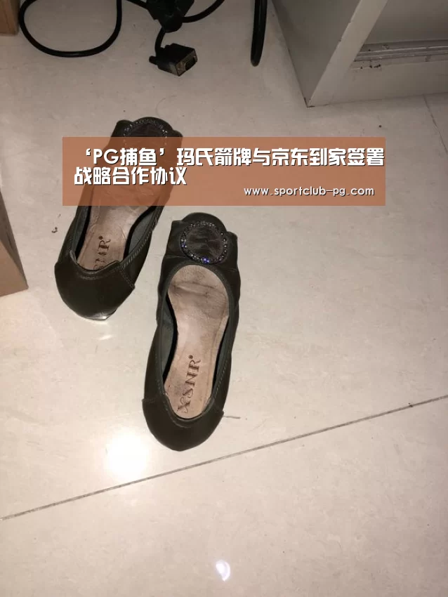 PG在线