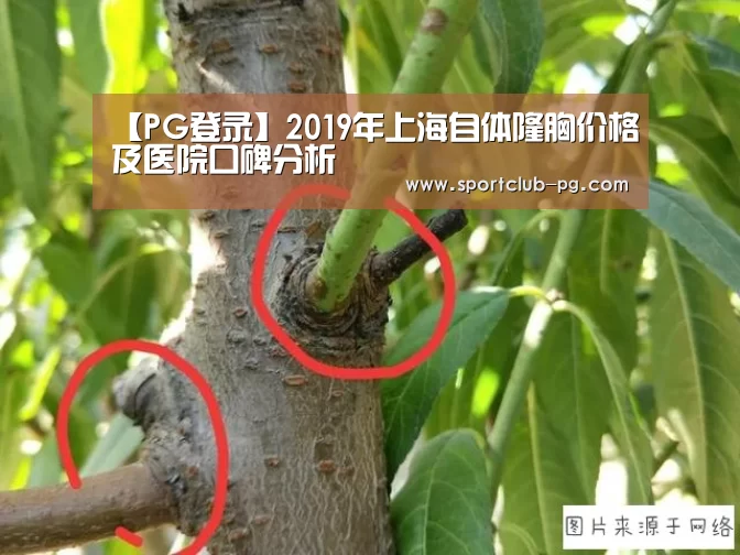 PG在线