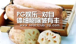 PG在线