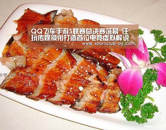 QQ飞车手游S联赛总决赛落幕 任玩传媒领衔打造首位电竞虚拟解说“PG捕鱼”(图1) PG捕鱼