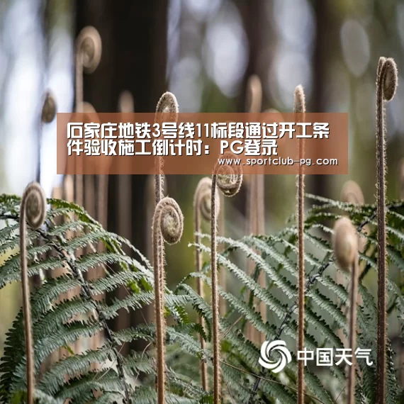 石家庄地铁3号线11标段通过开工条件验收施工倒计时:PG登录(图1) PG捕鱼